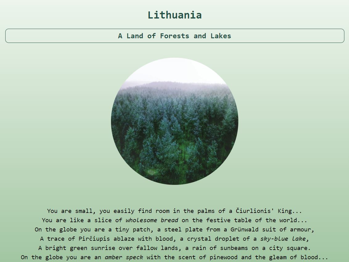 javascript lithuania project